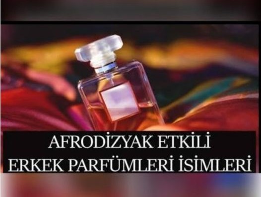 Bayan Azdırıcı Parfümler